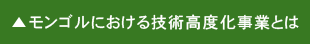モンゴルにおける技術高度化事業とは